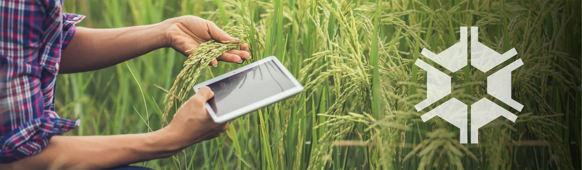 Engenharia Agronômica