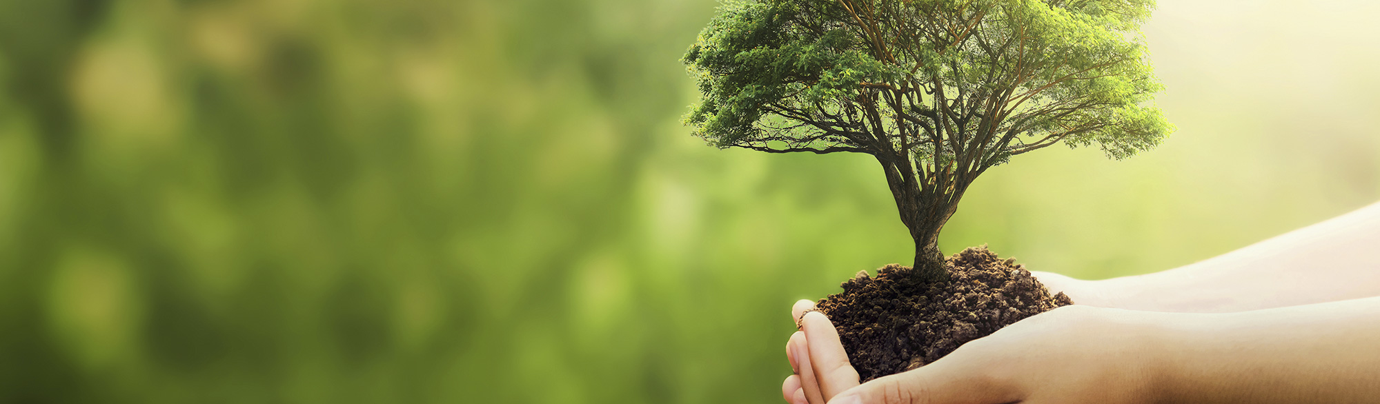 Licenciamento e Auditoria Ambiental