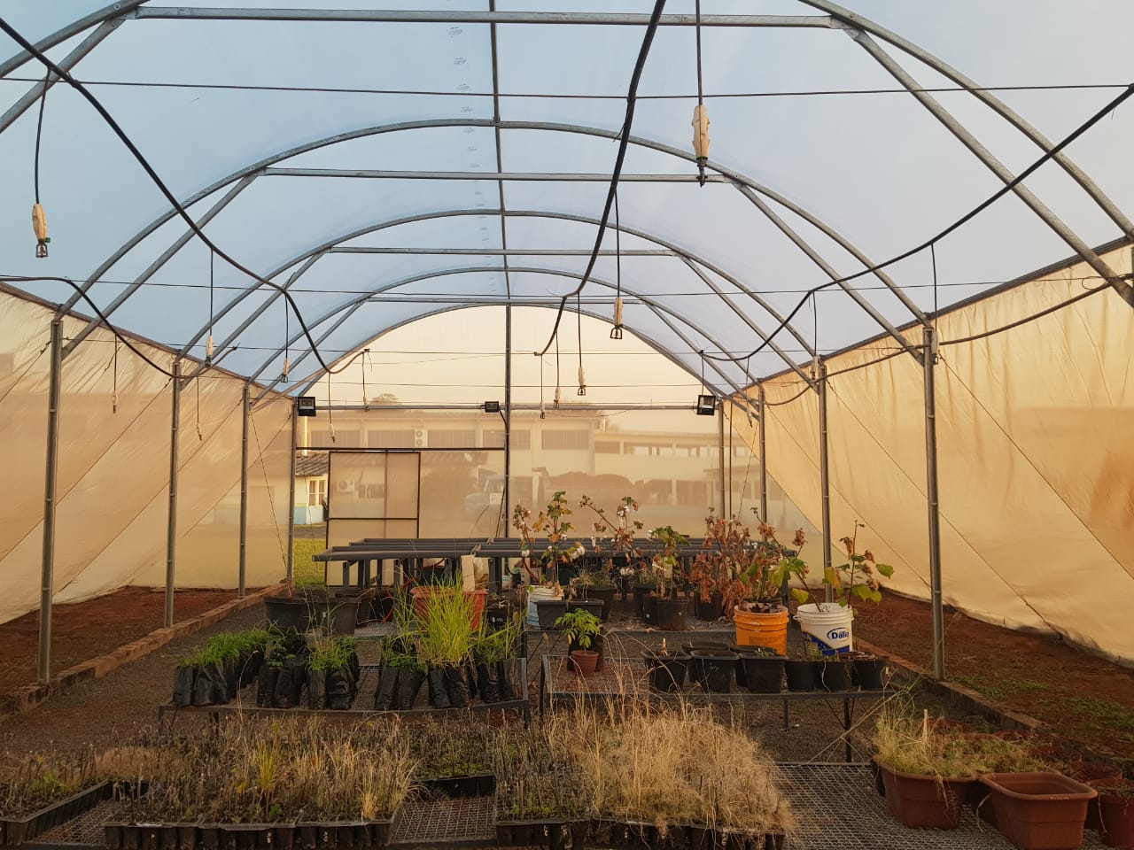 Casa de Vegetação do Campus II