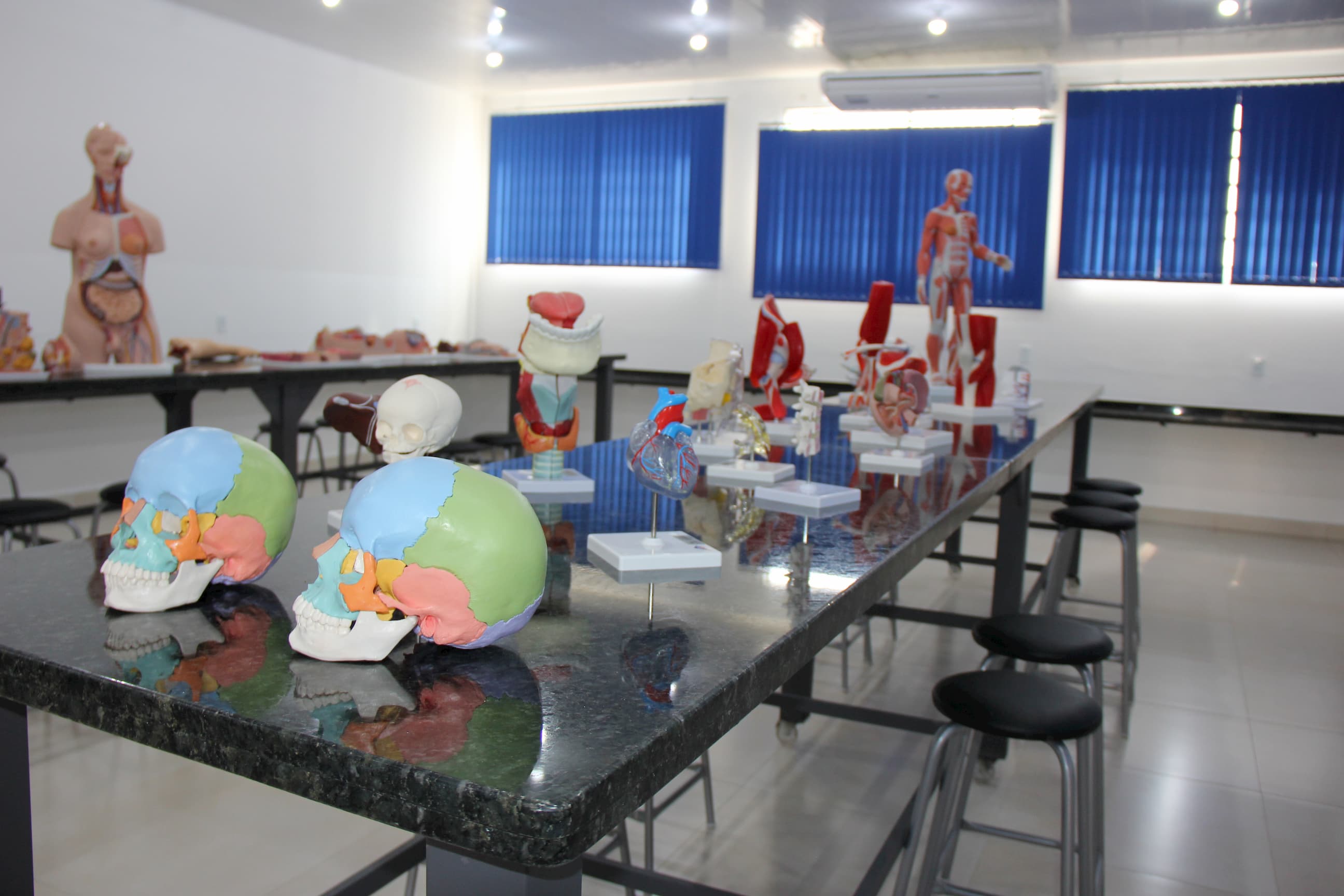 Laboratório Morfofuncional do Campus II