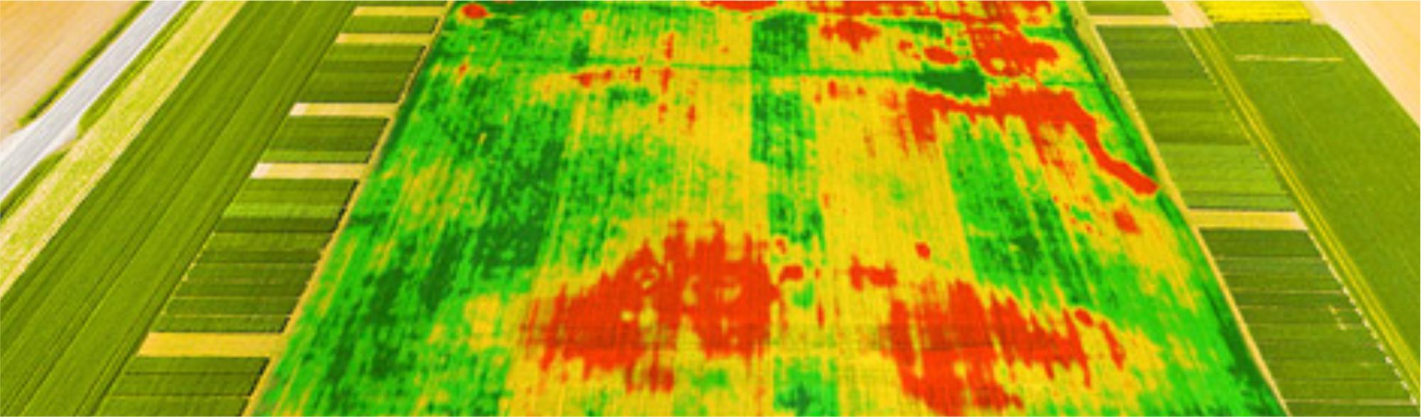 Introdução ao Software Autocad e QGiz
