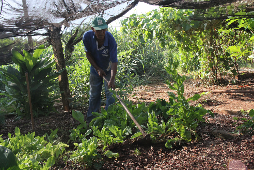 Clique para expandir a imagem