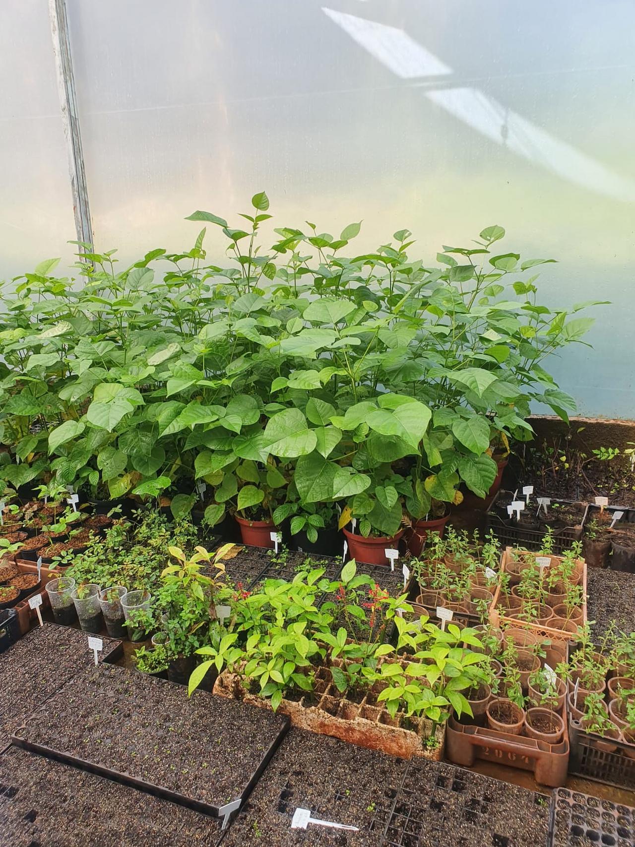 Clique para expandir a imagem