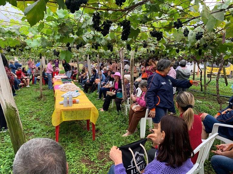 Clique para expandir a imagem