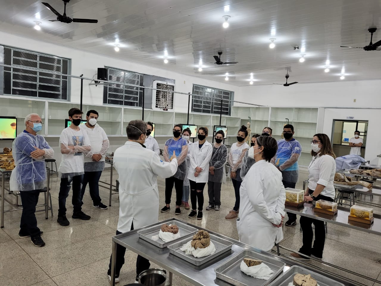 Clique para expandir a imagem