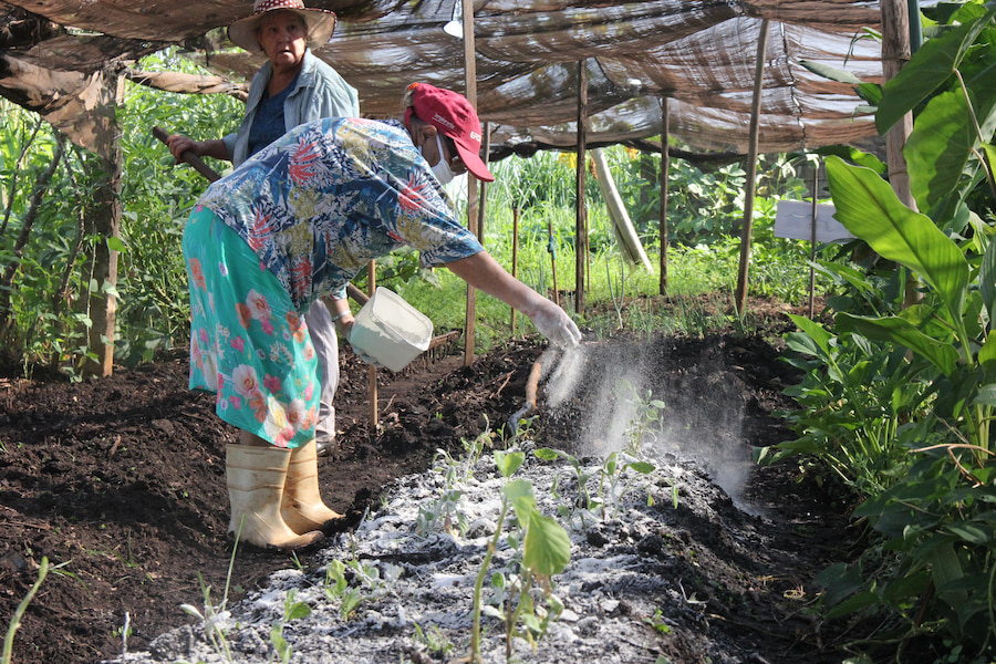 Unati retoma atividades após recesso de final de ano